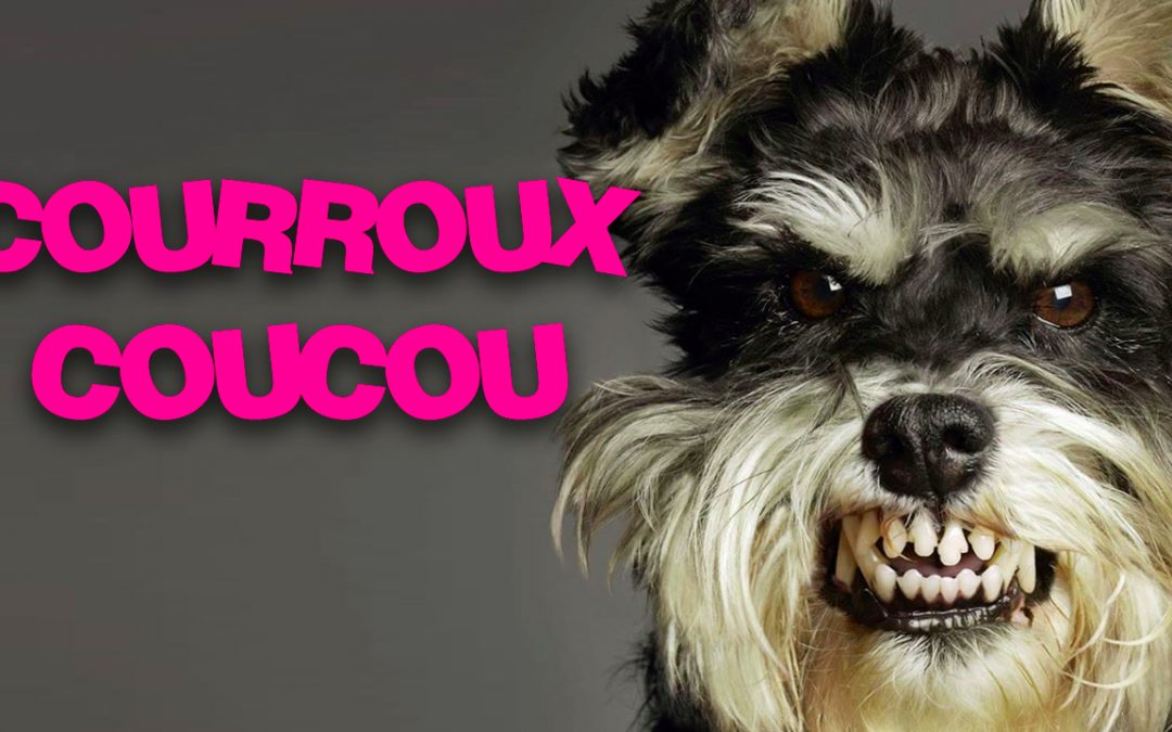 COURROUX COUCOU – Nouveau podcast énervé