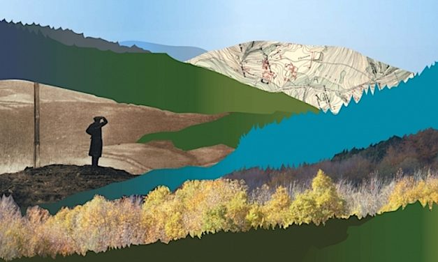 Portrait de Territoire