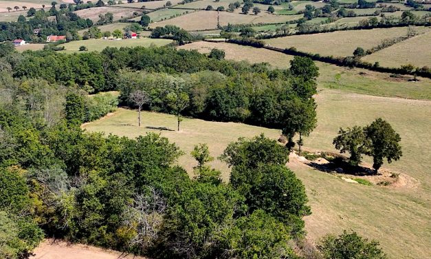 La Bio comme évidence